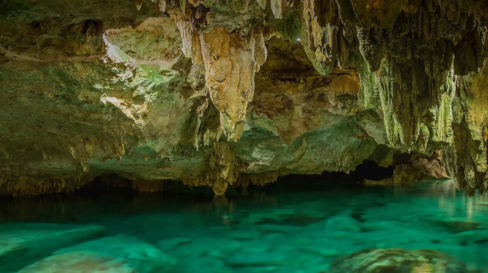 Explora cenotes cristalinos y formaciones rocosas únicas. ¡Reserva Tours | The Fives Hotels | México!