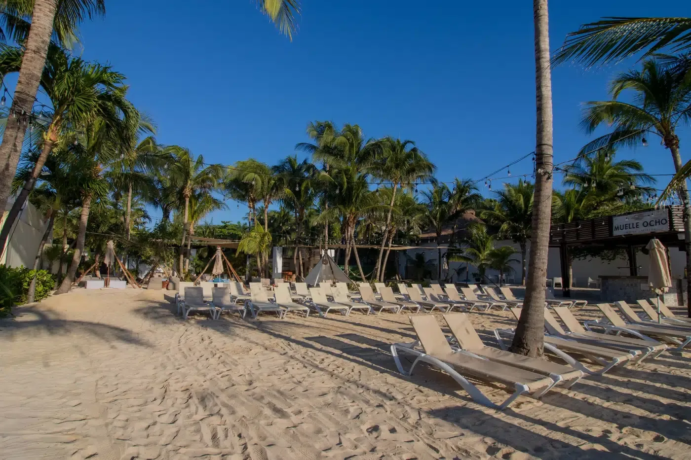 Loungers and palm trees on a sandy beach at The Fives Corpo resort.