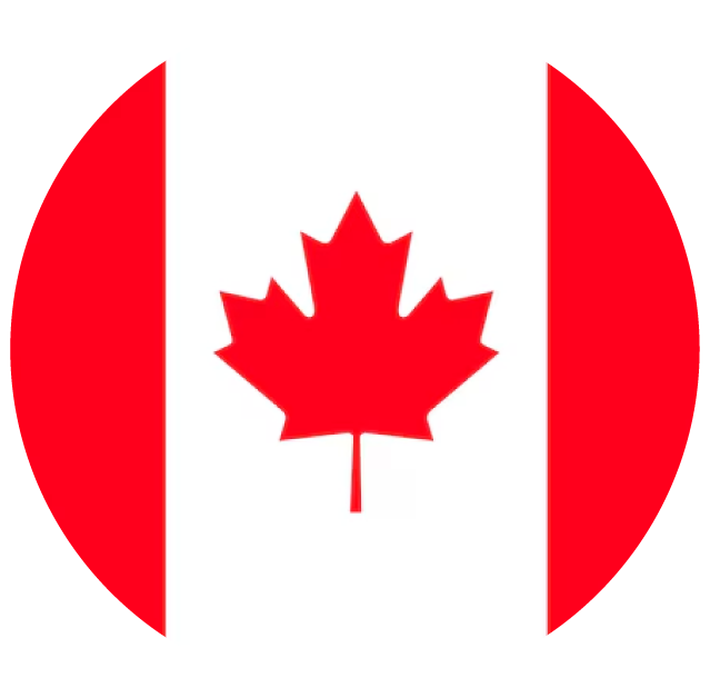 a canadian flag with a red maple leaf in the center