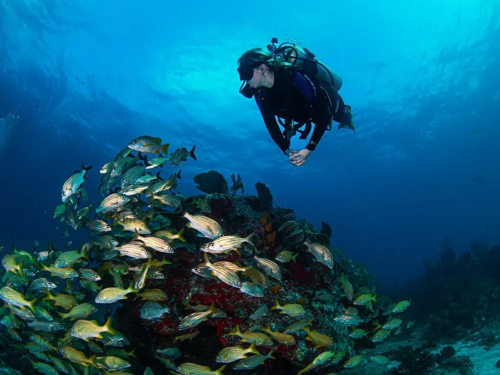 Summer experiences in the Mexican Caribbean with cenotes, snorkeling, pools, rooftops, and beach clubs