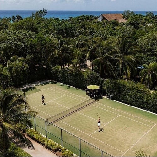 an aerial view of a tennis court surrounded by palm trees