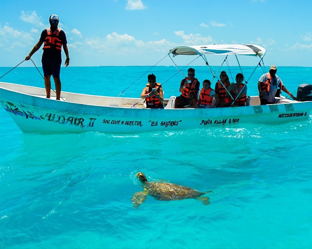 Playa del Carmen y Puerto Morelos como dos formas de vivir junio en el Caribe Mexicano