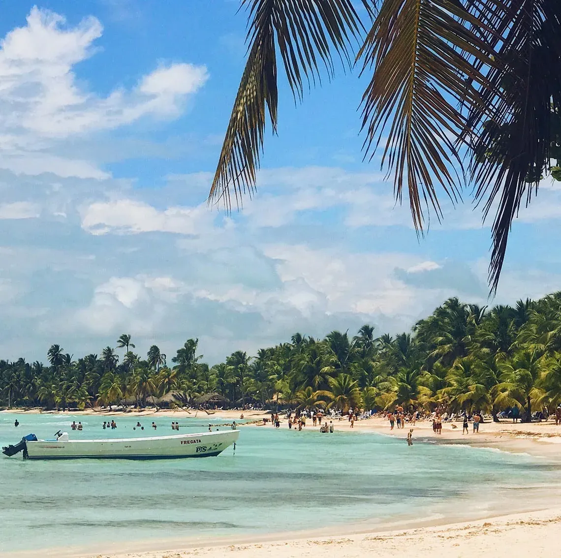 La Fives Corpo: Exuberante playa caribeña con aguas turquesas y palmeras.