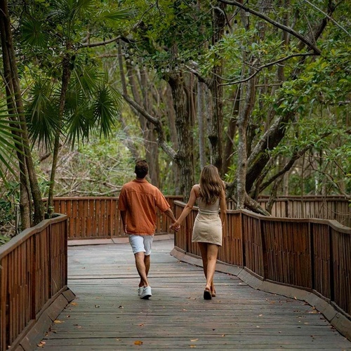 a man and woman are walking down a wooden walkway in the woods