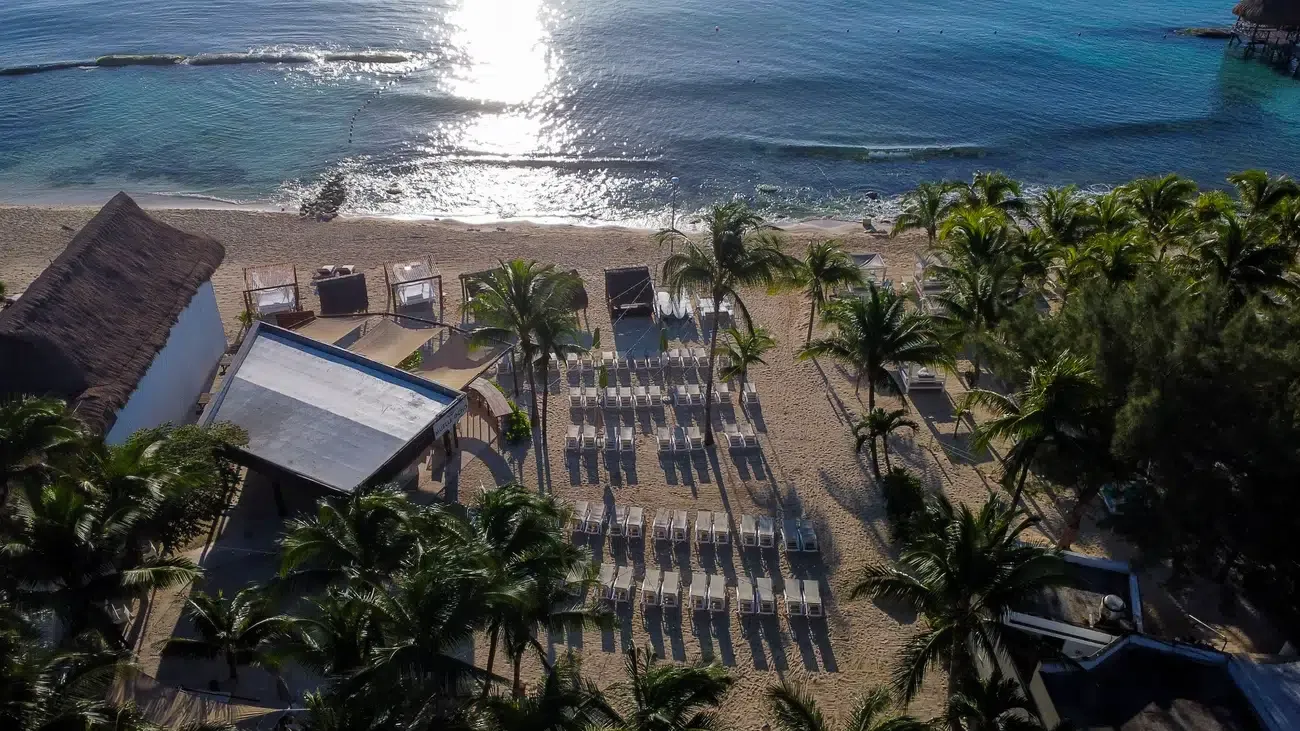 Beachfront hotel with lounge chairs and palm trees, perfect for a The Fives Corpo vacation.