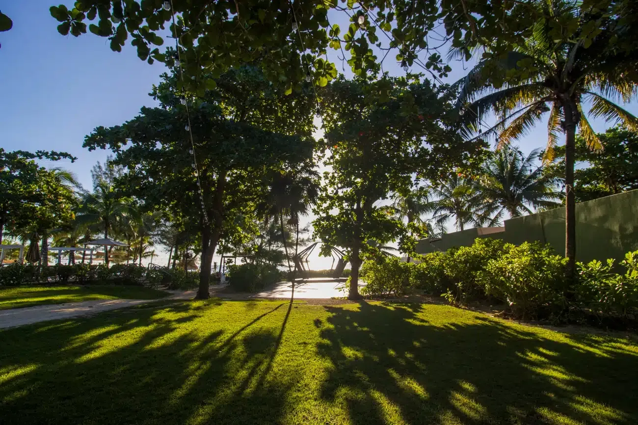 Lush green lawn and trees leading to a tropical resort The Fives Corpo on a sunny day.