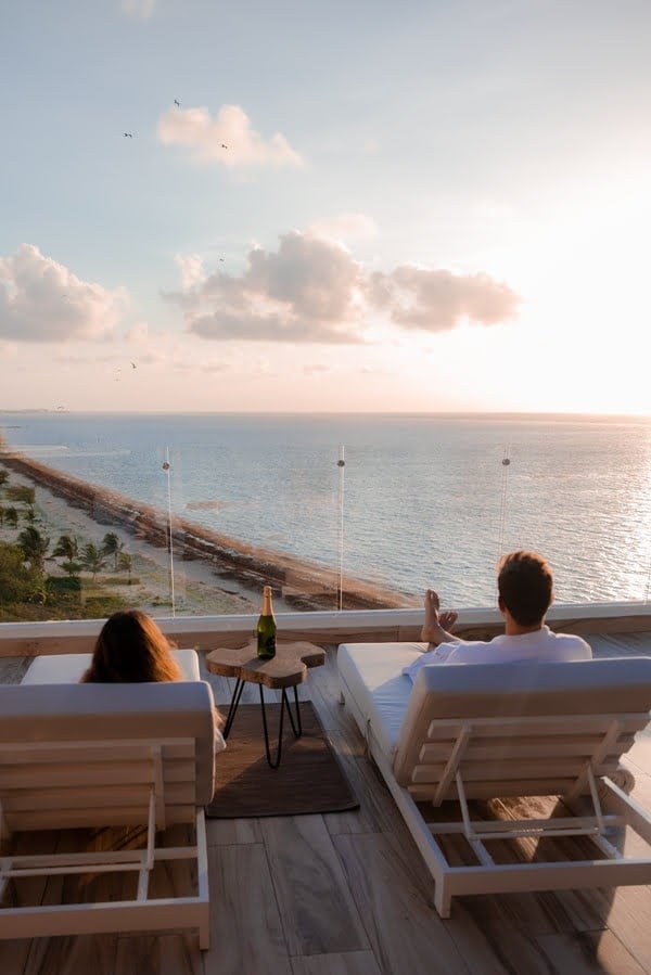 a field of purple flowers with a green background