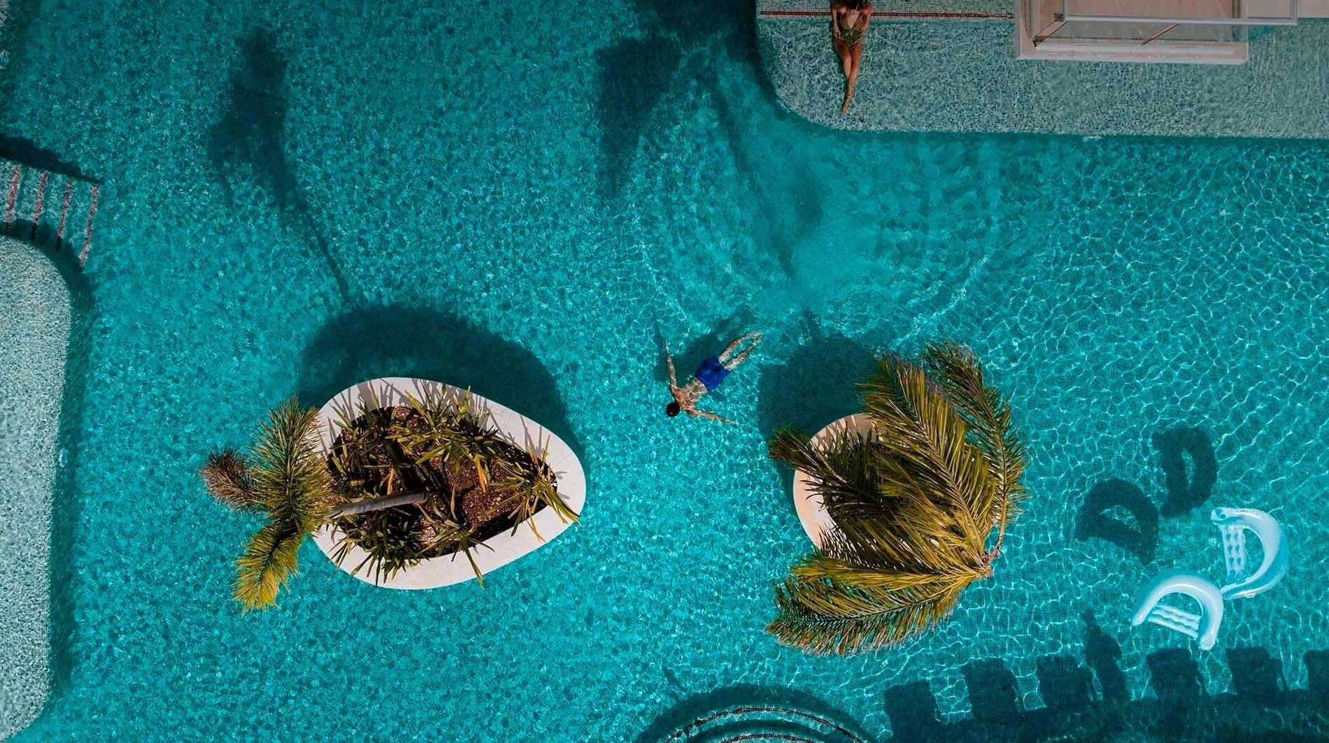 an aerial view of a person swimming in a pool