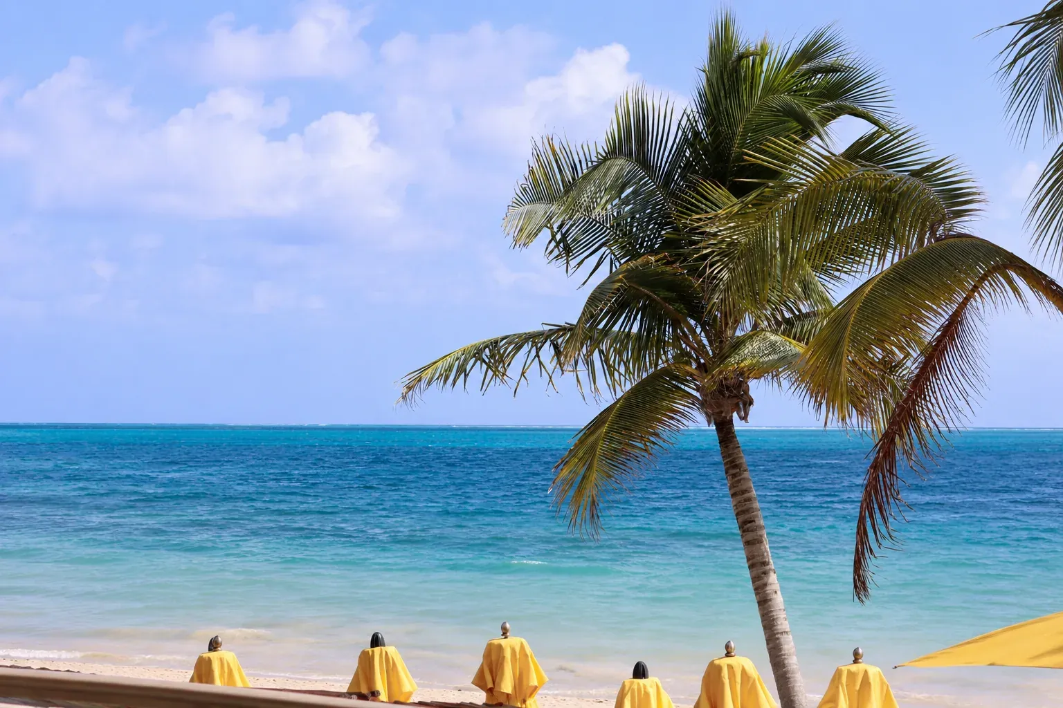 Puerto Morelos: el destino del Caribe Mexicano que le ganó terreno al sargazo