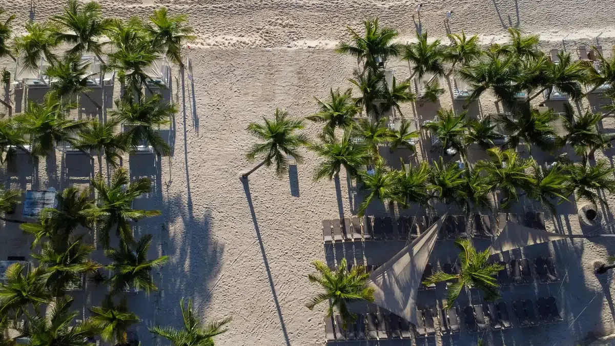 Aerial view of a beach resort with palm trees, loungers, and umbrellas, showcasing the perfect The Fives Corpo destination.