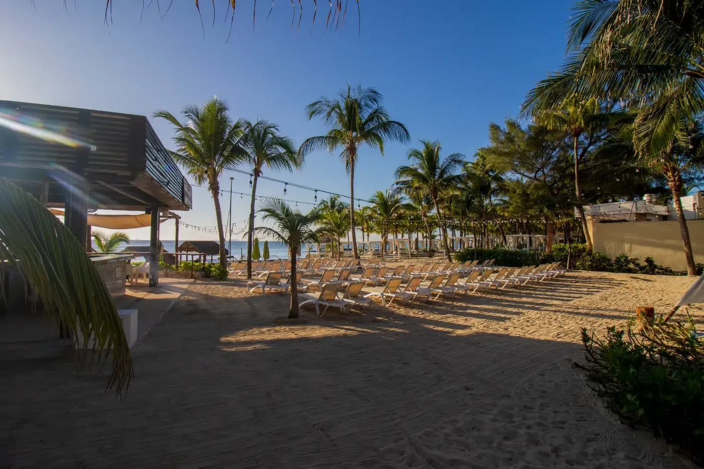 Beach chairs and palm trees at a tropical resort, perfect for a The Fives Corpo vacation.