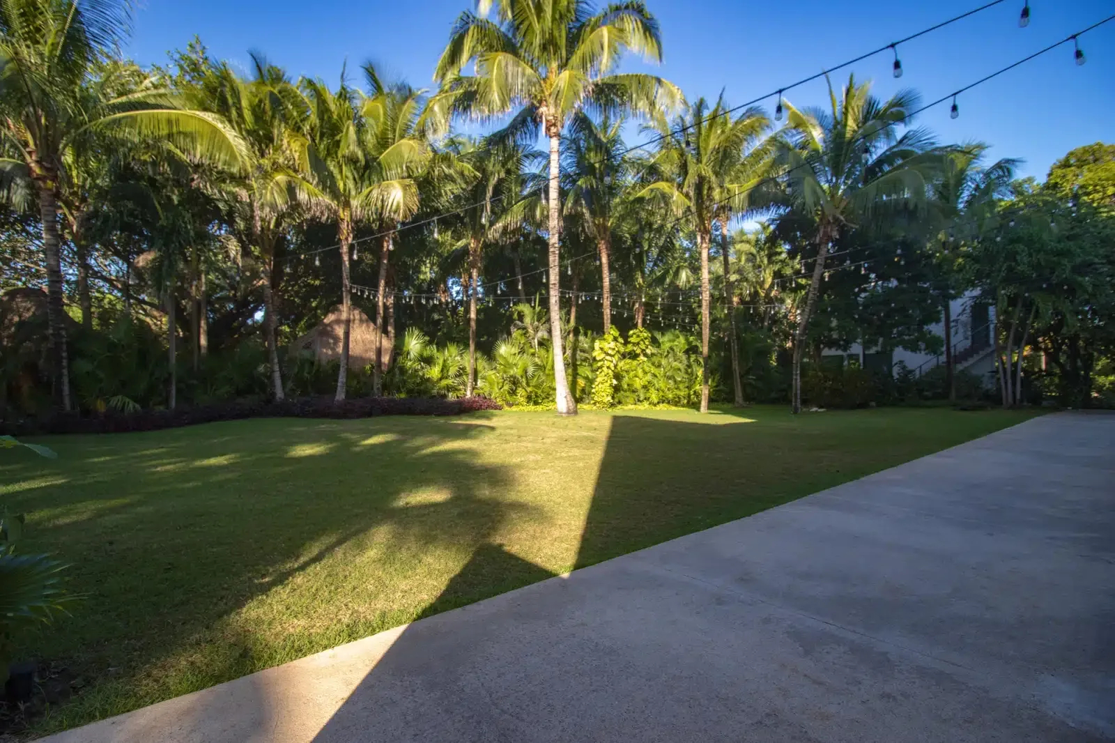 Tropical The Fives Corpo, lush lawn, palm trees, and outdoor lighting at a serene resort.