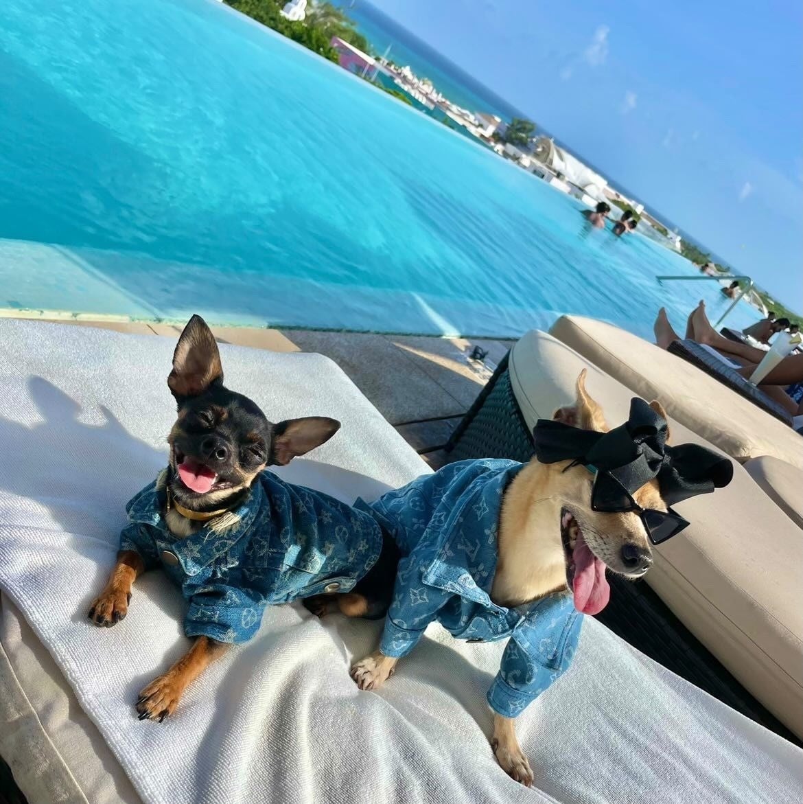 a family sits on a beach with a tray of fruit