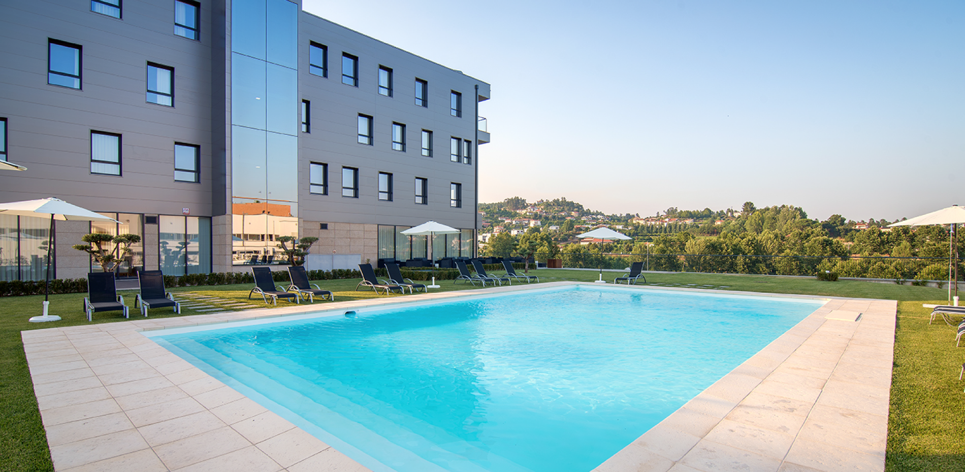 una piscina rodeada de sillas y sombrillas y una palmera
