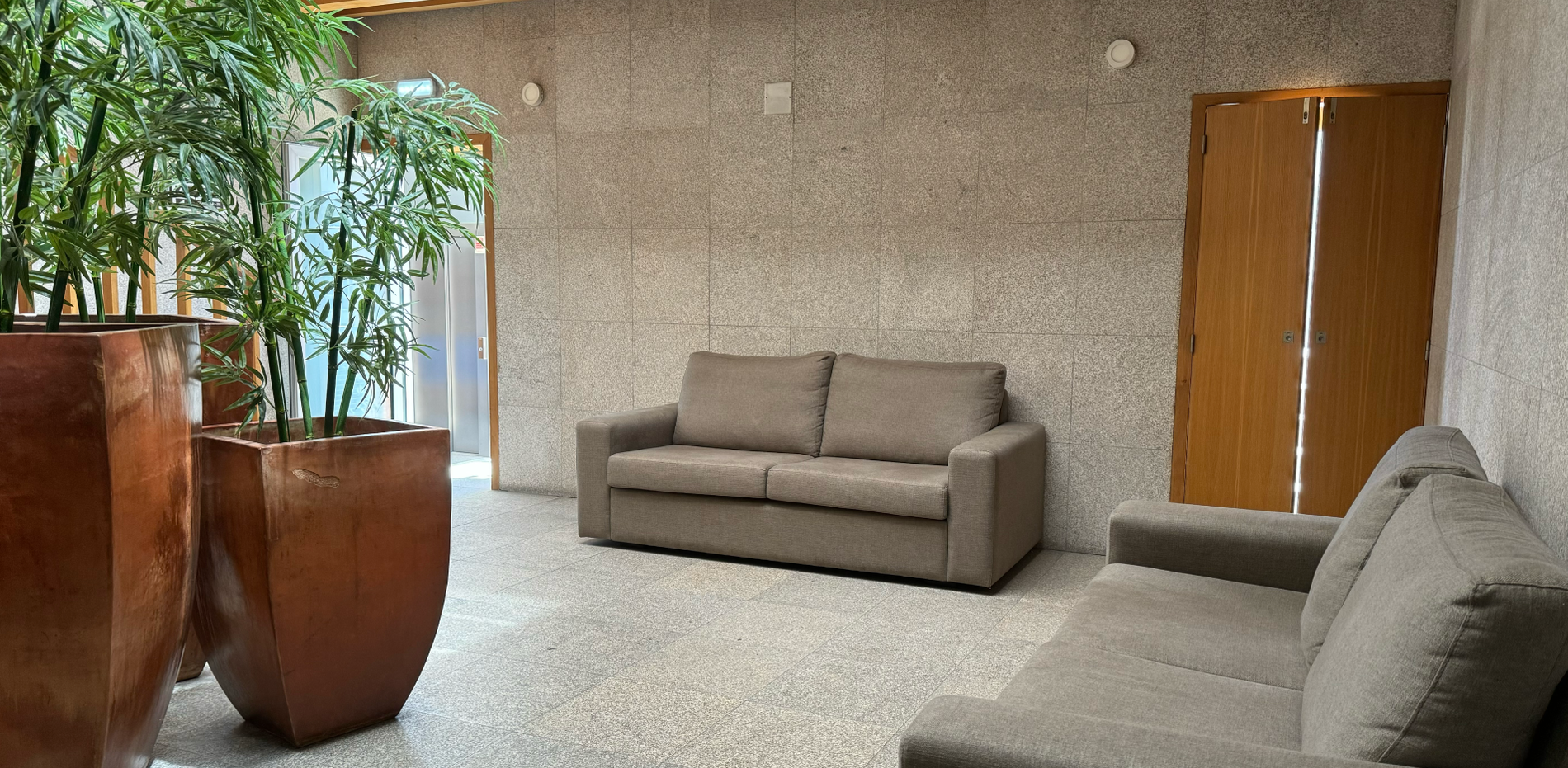a living room with a couch and potted plants