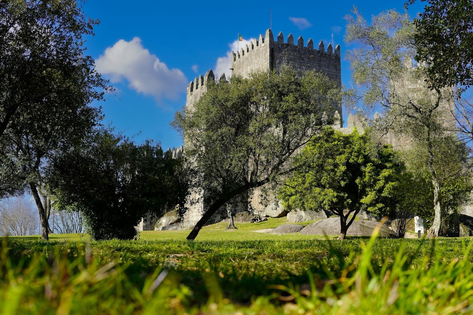 una ciudad llena de edificios blancos y palmeras