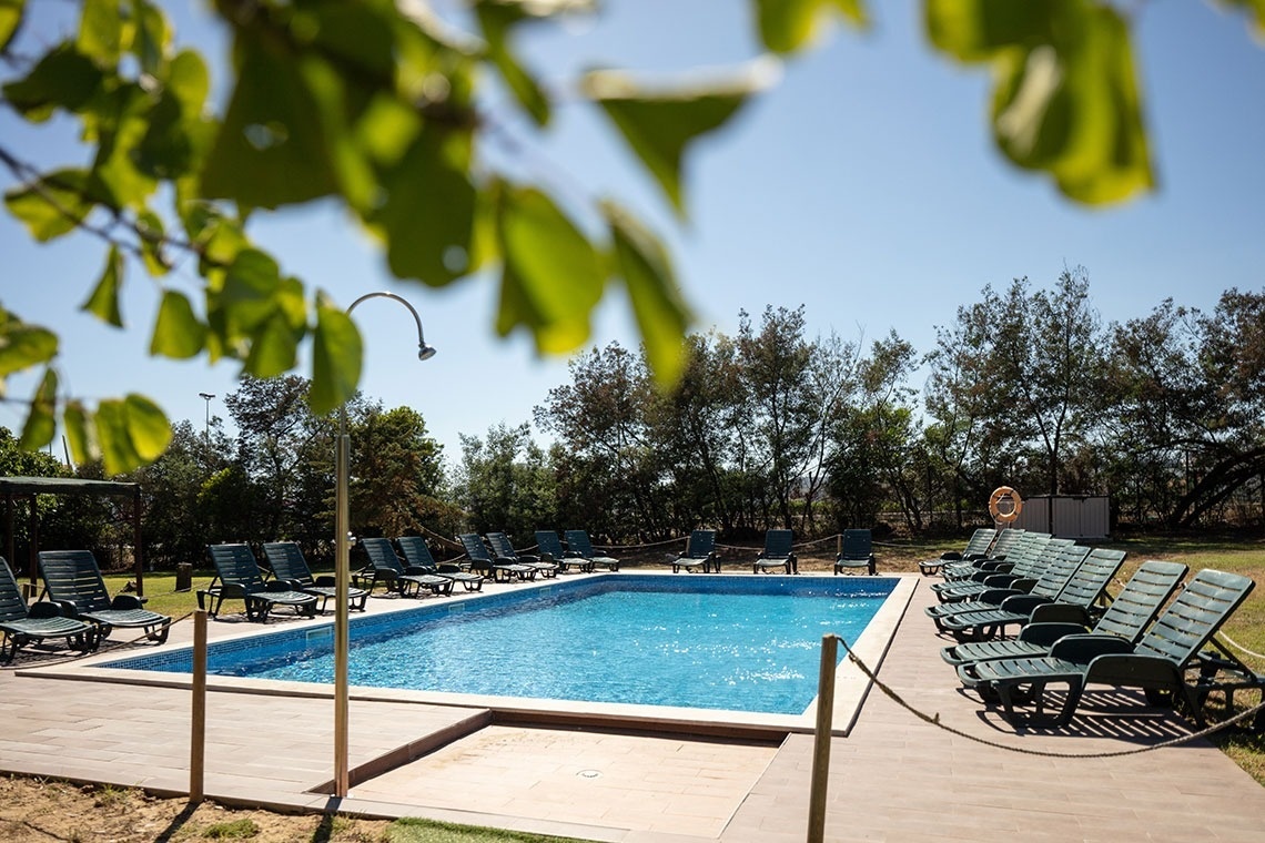 una piscina rodeada de sillas y árboles en un día soleado