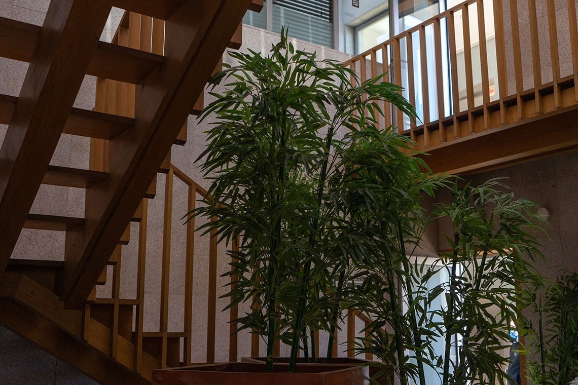 Modern wooden staircase and bamboo plants at Flag Hotel Barcelos | Official website.