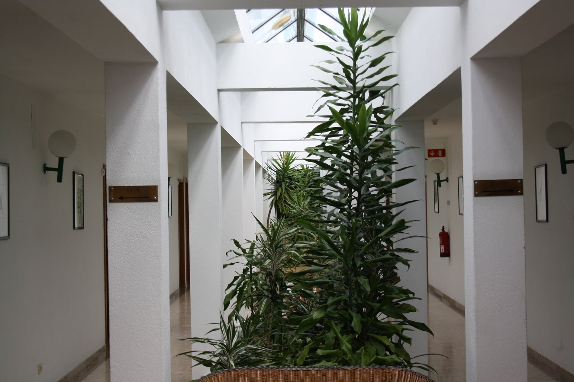 Indoor plants in a hotel corridor, Flag Hotel Santarém | Official website.
