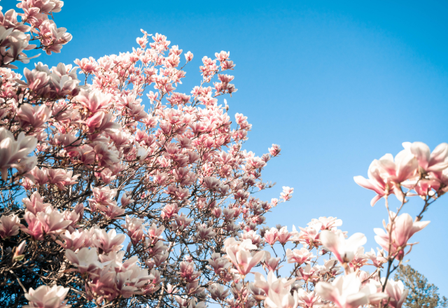 Sleep like at home with our renovated Quebec Visco mattresses