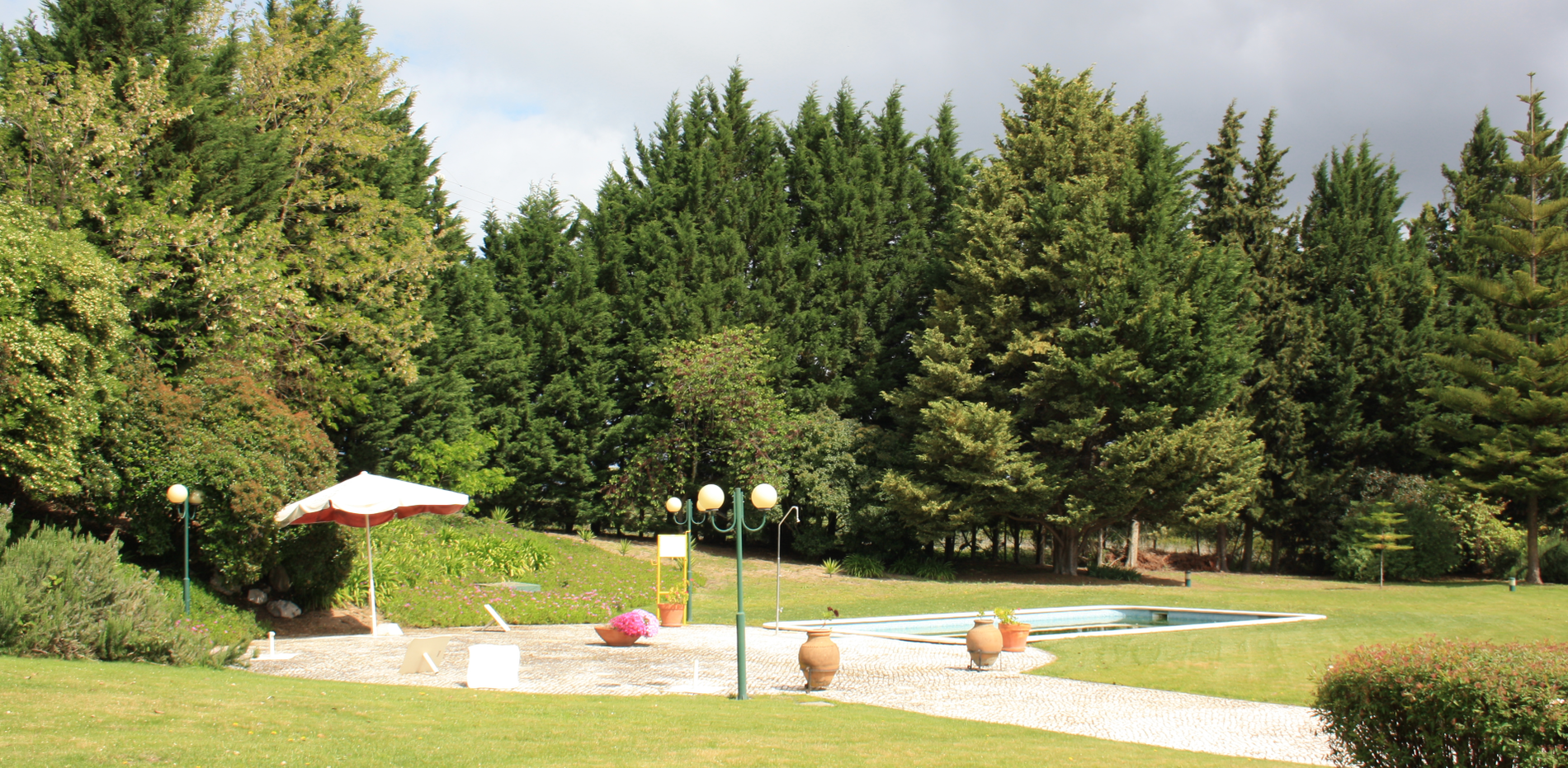 um jardim com uma piscina e árvores ao fundo