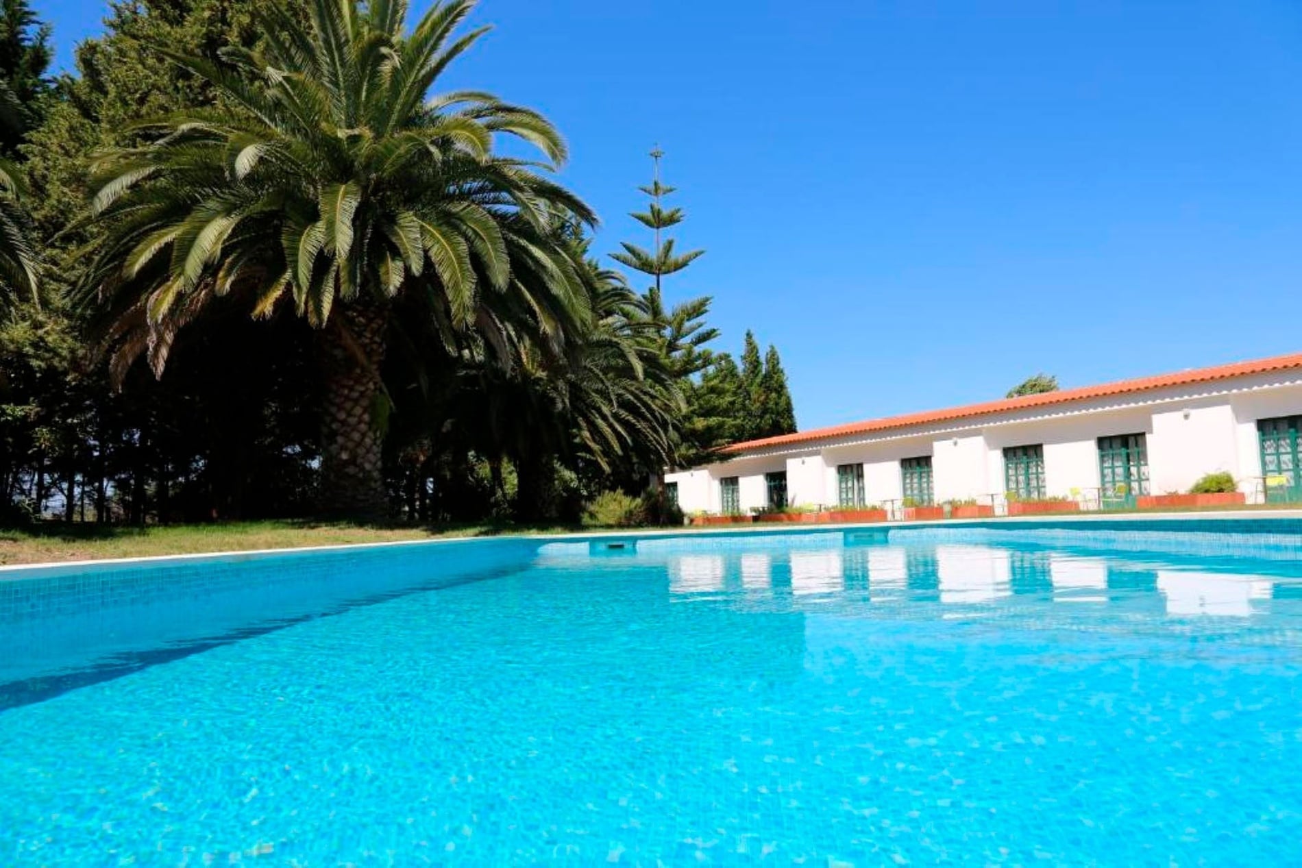 Hotel Santarém pool and palm trees, book your stay on our official website.