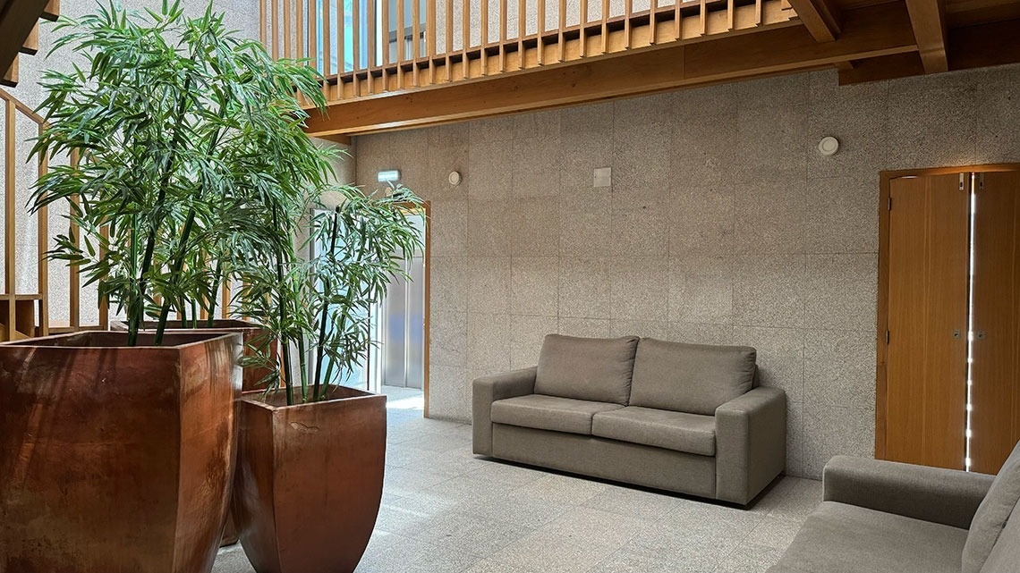 a living room with a couch and potted plants