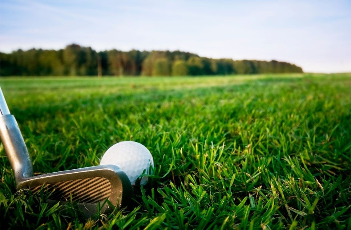 un palo de golf y una pelota de golf están en la hierba en un campo de golf .