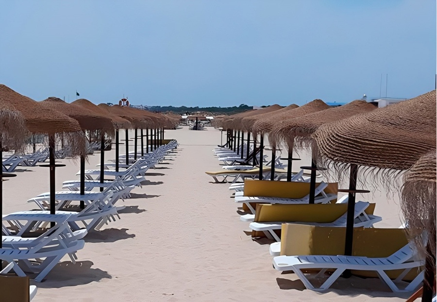 un par de tijeras y un cepillo sobre una mesa