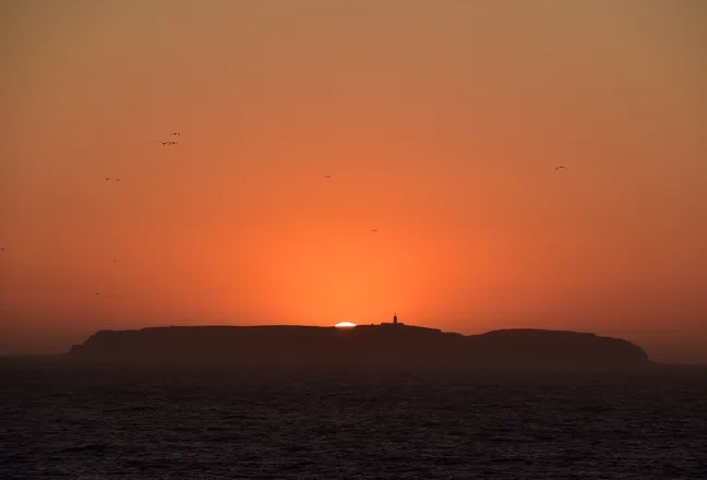 Um pôr do sol laranja intenso pinta o céu e o oceano, com uma ilha em silhueta onde o sol se esconde parcialmente e pássaros a sobrevoar.