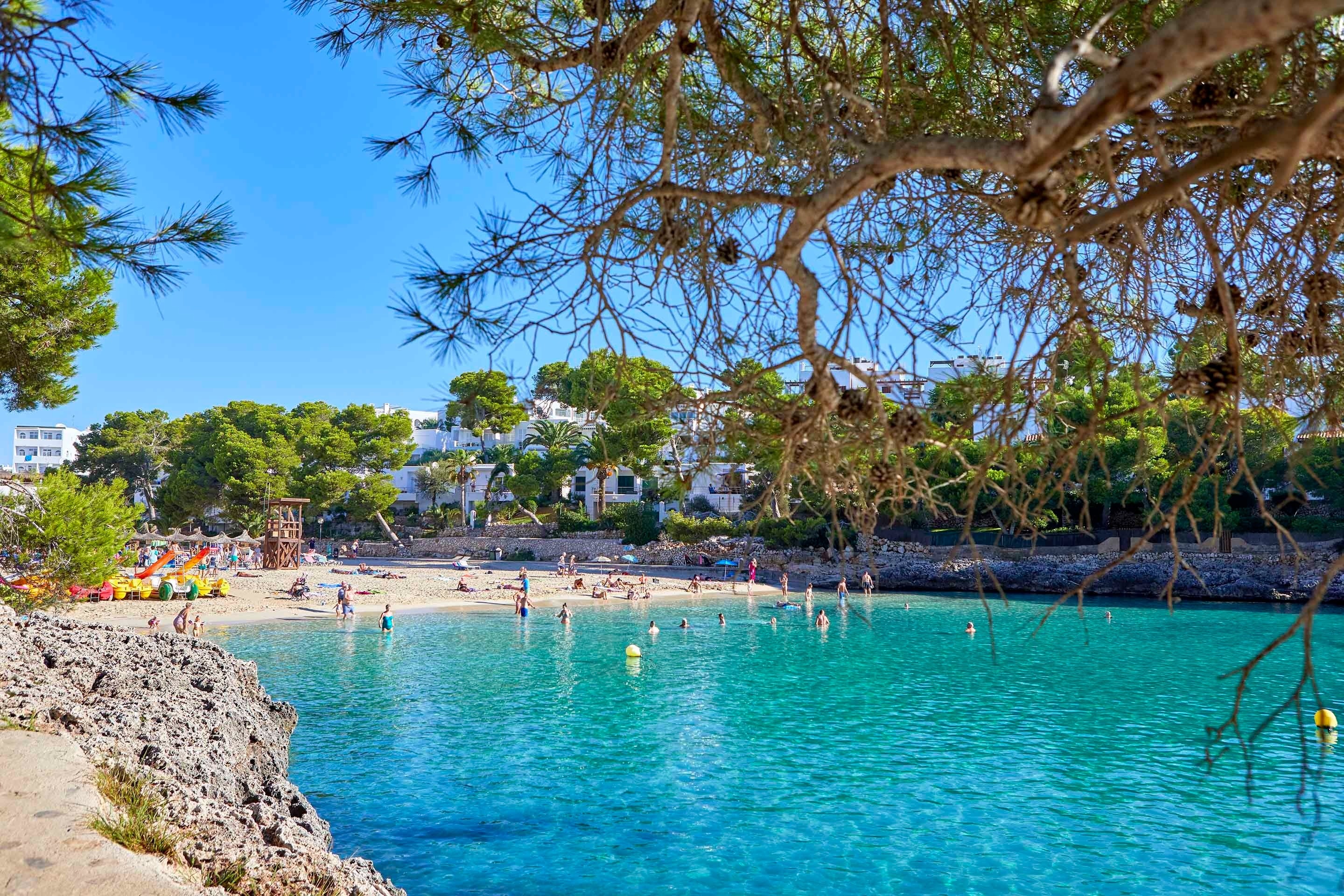 un grupo de personas nadando en una playa en un día soleado