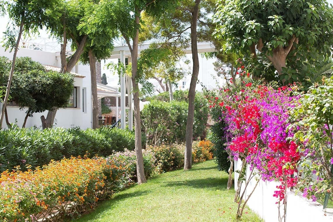Jardín exuberante y flores vibrantes en Gavimar Cala Gran Costa del Sur, Cala d'Or.