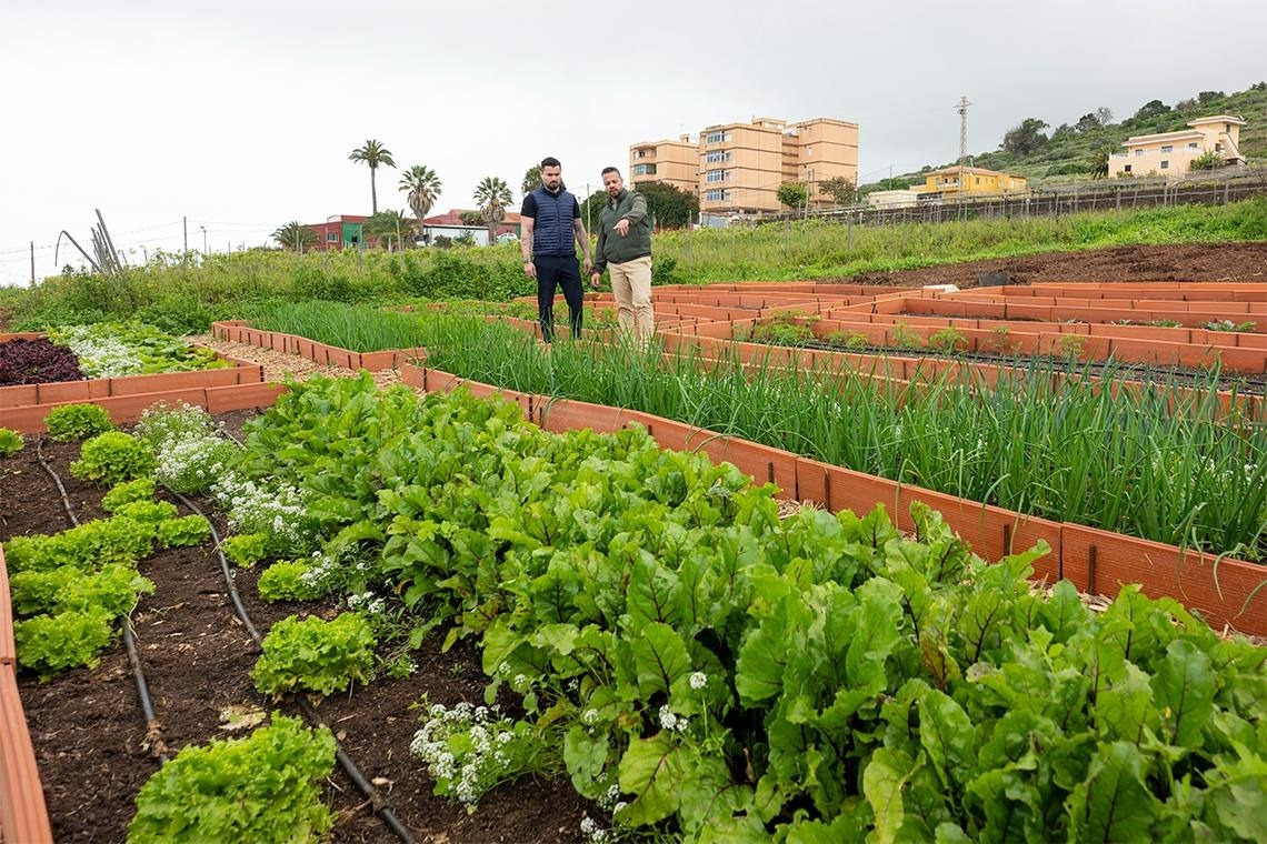Hospedaje en fincas ecológicas con jardines y vistas. Descubre GF: Corporativa.