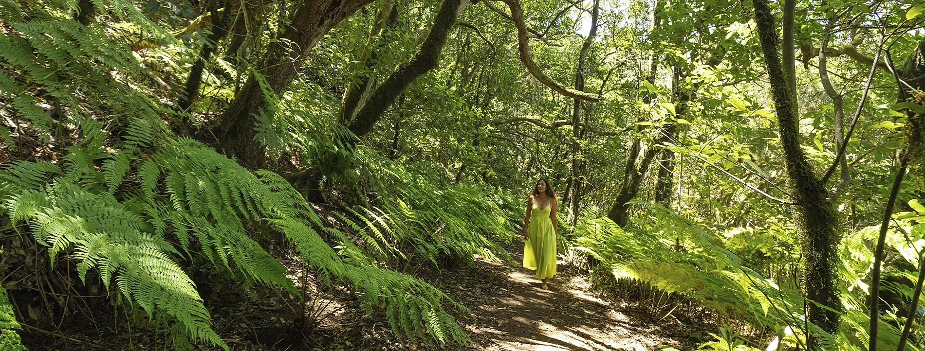 Lush forest trail, woman in yellow dress. Be Green Sustainability Programme | GF Hoteles.