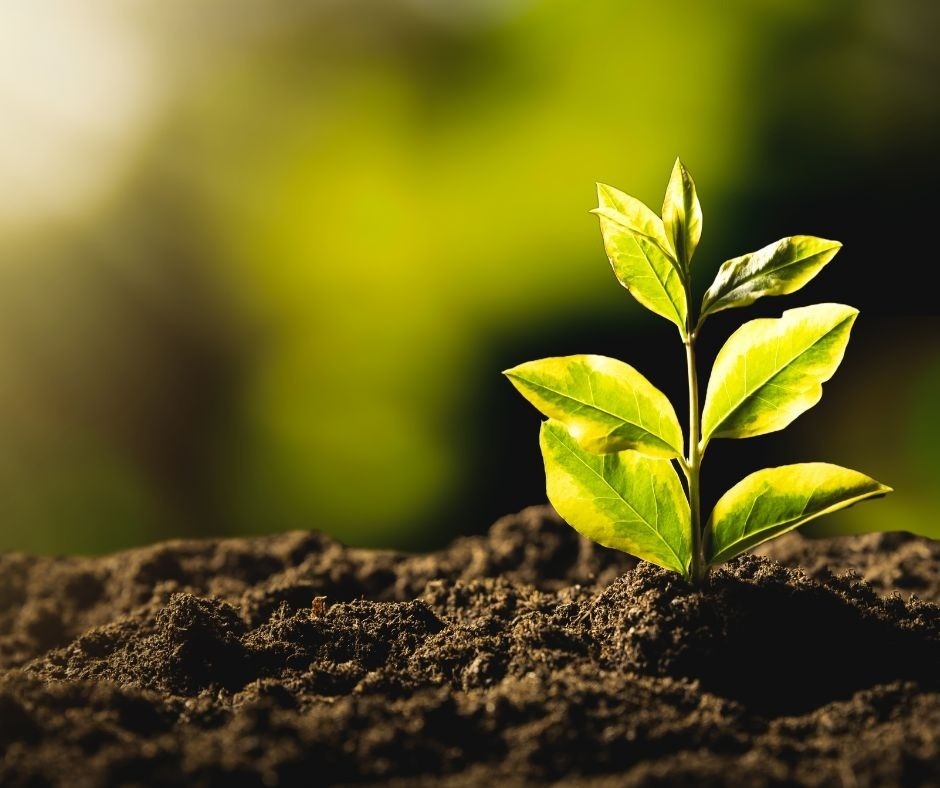 Working with green awareness: the goal of GF Hotels