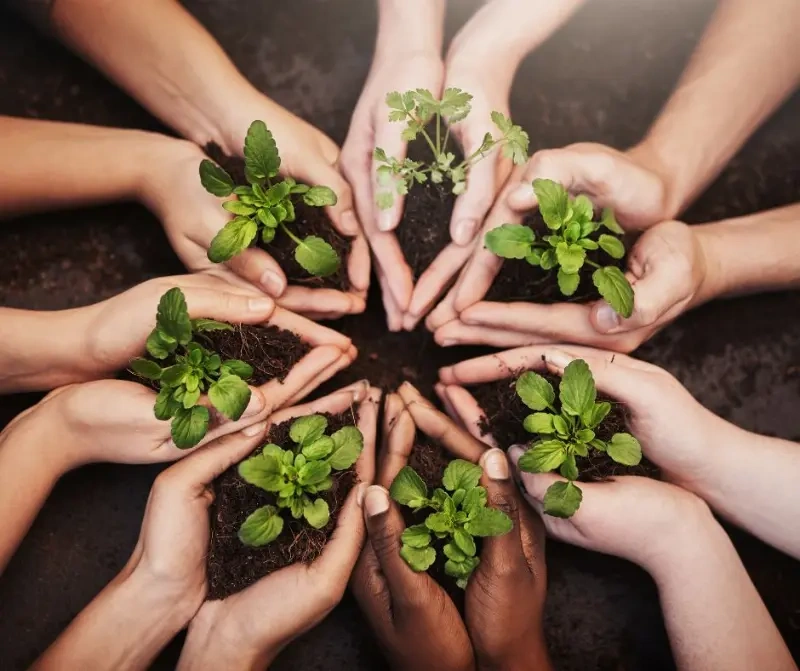 Paper in Cloud: Reducing paper in companies