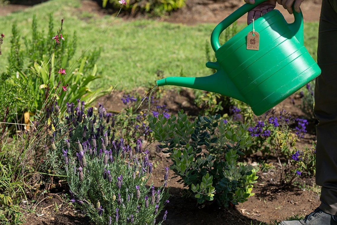 Personal de jardinería aplicando Compost Tea