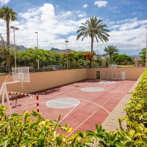 una cancha de baloncesto rodeada de palmeras y árboles