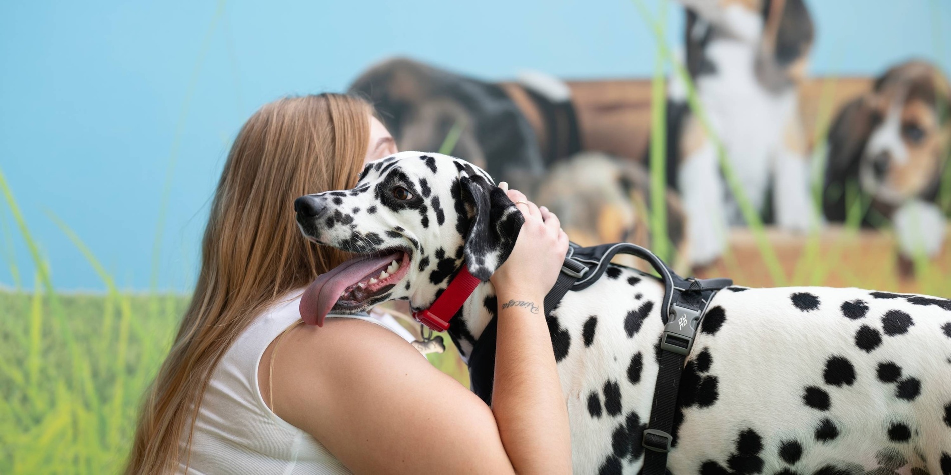 un hombre y una mujer sostienen a sus perros en la recepción de un hotel