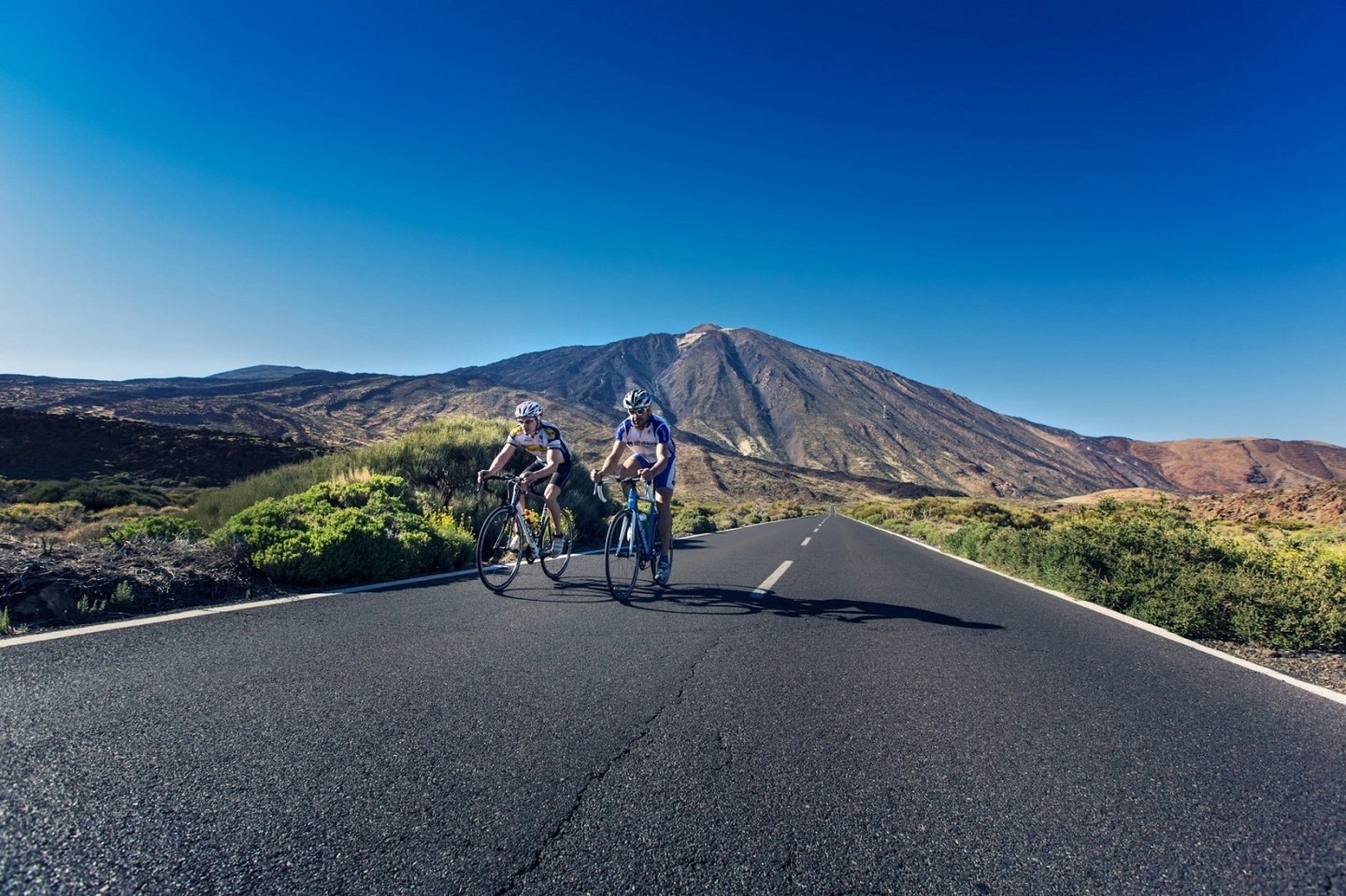 una playa con un árbol y un barco en el fondo
