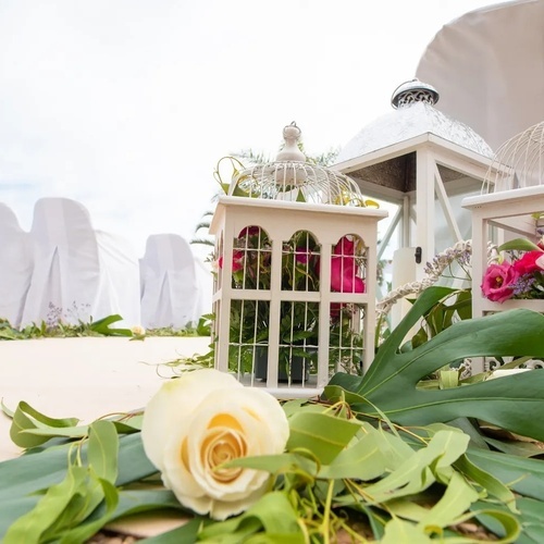 una jaula blanca con flores en ella y una rosa blanca