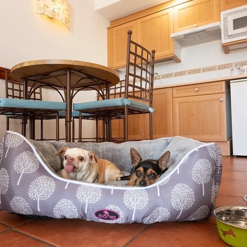 two dogs are laying in a dog bed with trees on it