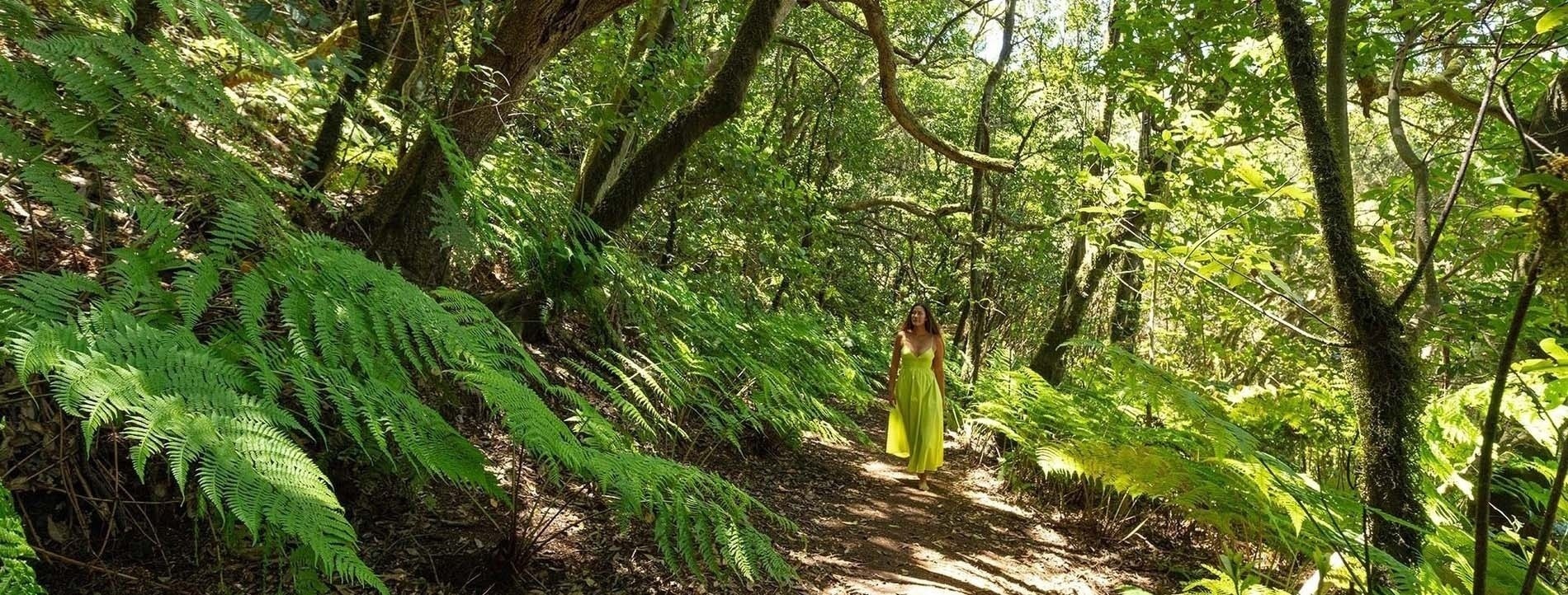 una mujer con un vestido amarillo camina por un sendero lleno de helechos y árboles
