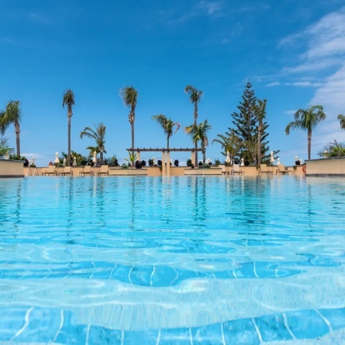 una gran piscina rodeada de palmeras en un día soleado