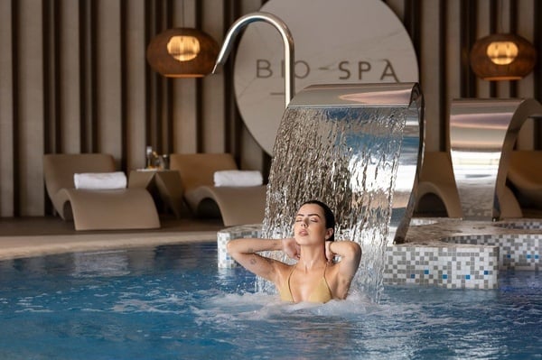 una vista aérea de una playa y el océano