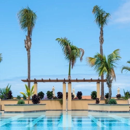 una gran piscina rodeada de palmeras y muebles