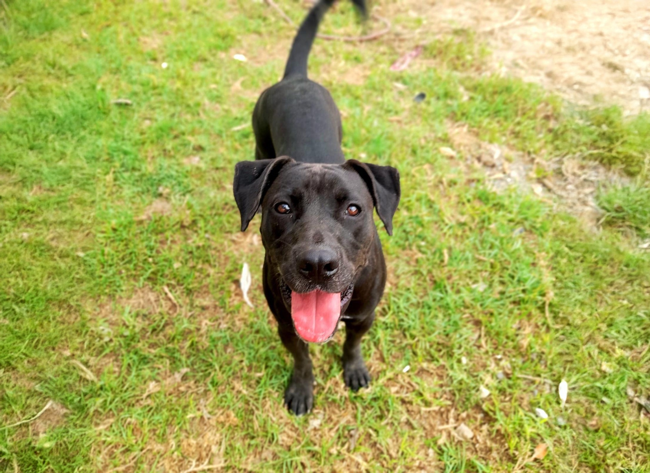 an aerial view of a wave in the ocean with the words begreenlife below it