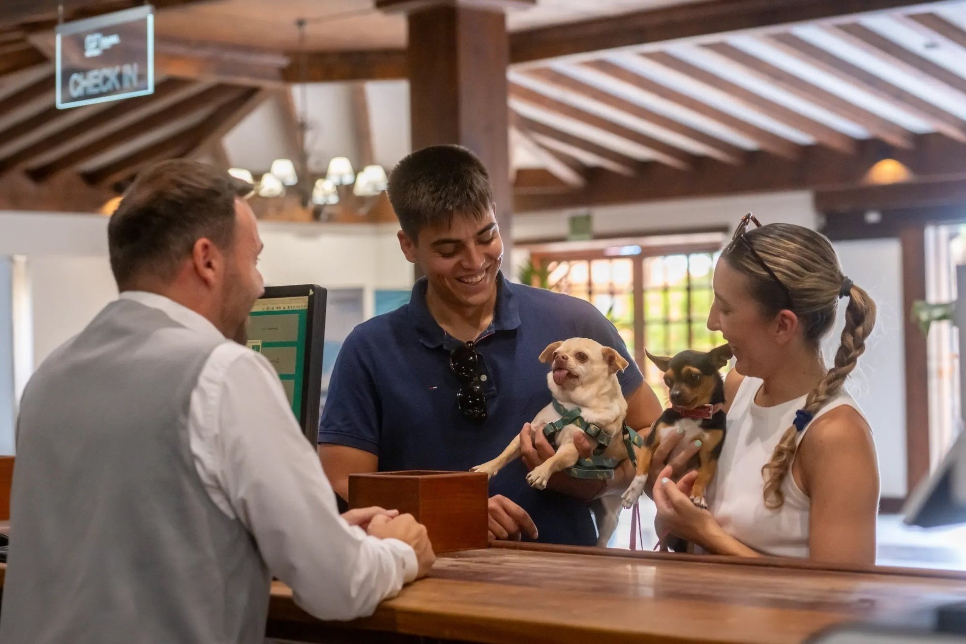 a man and a woman holding two small dogs at a check in counter