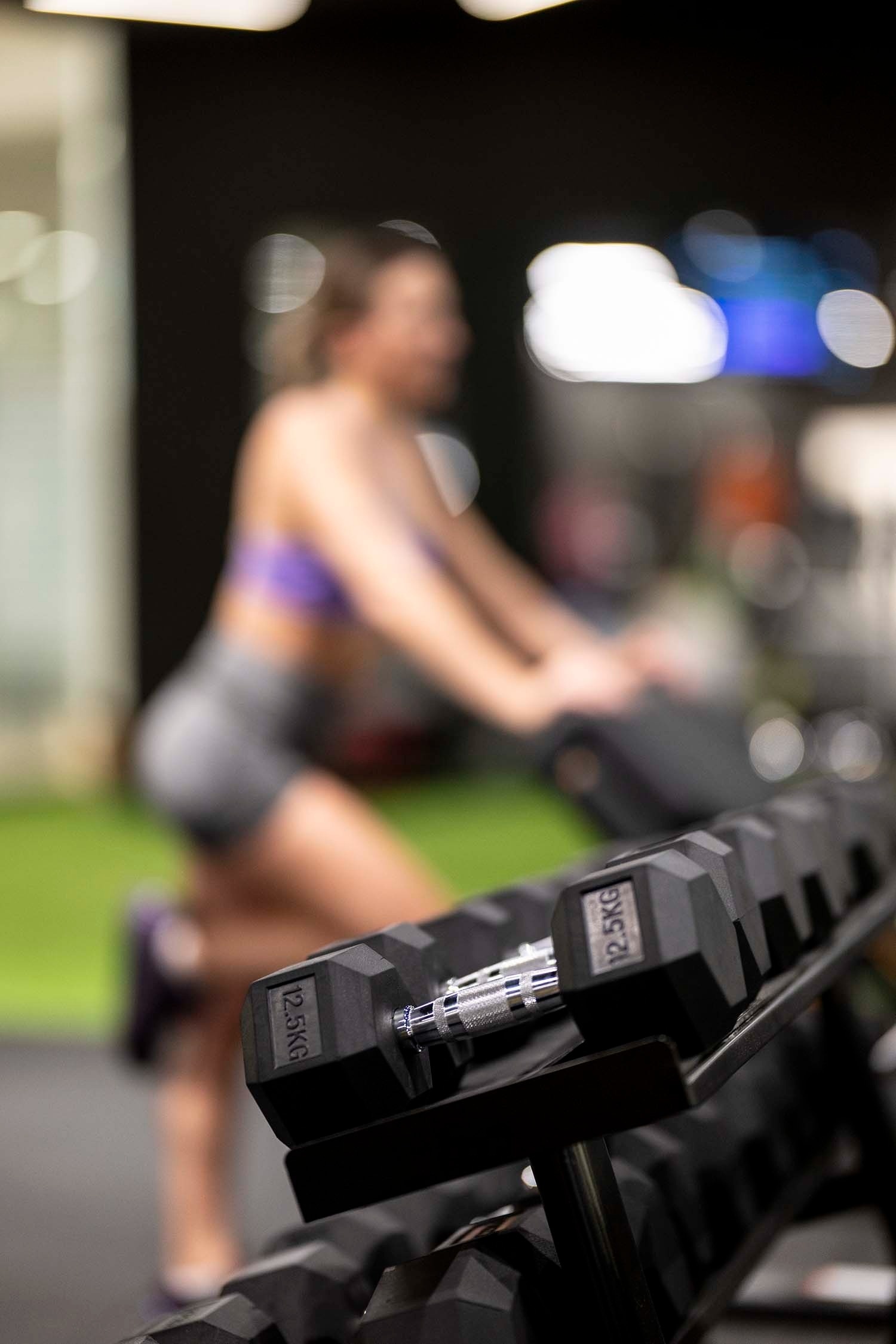 un par de mancuernas de 12.5kg están en un rack en un gimnasio