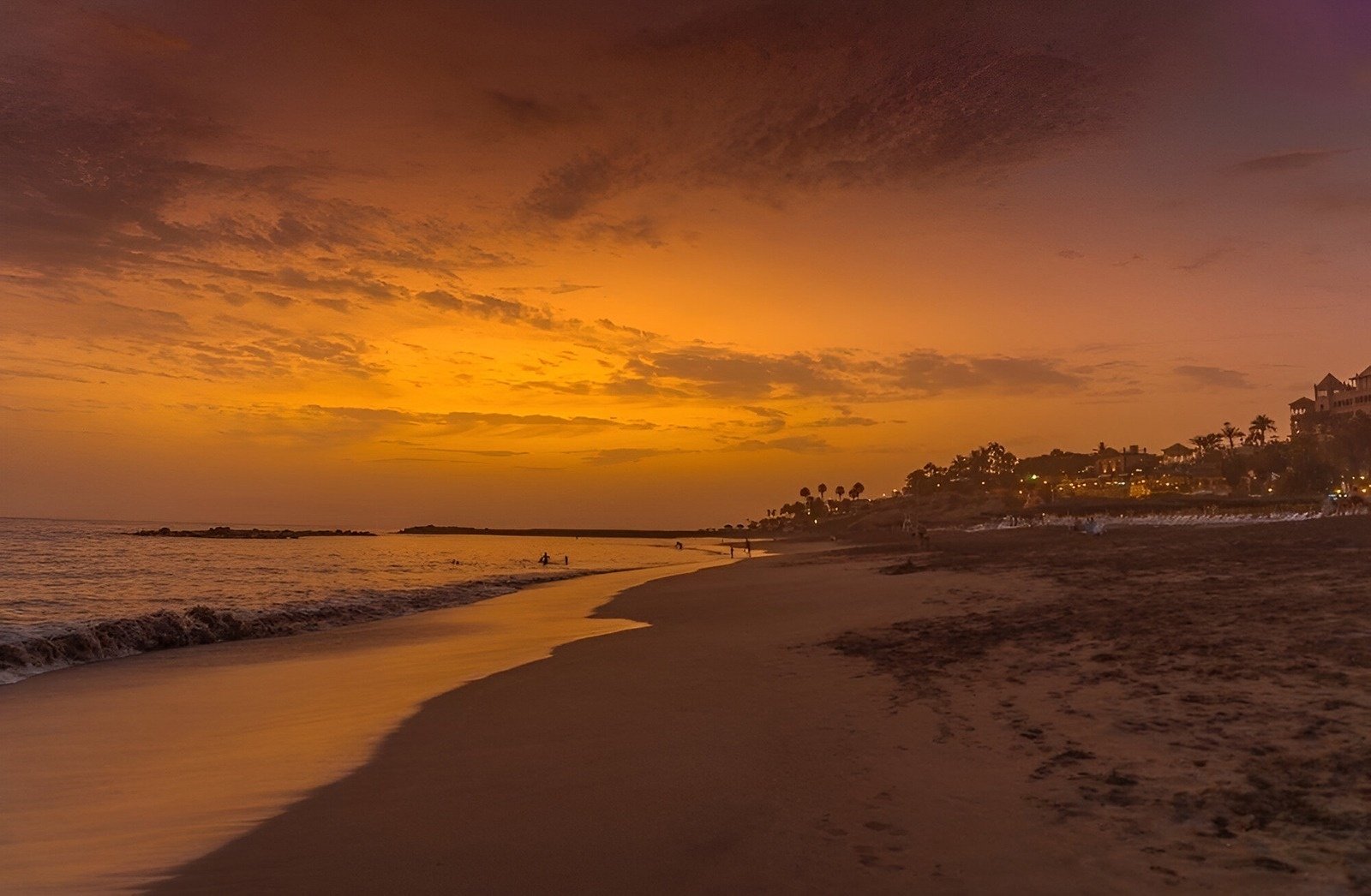 una playa al atardecer con palmeras y edificios en el fondo